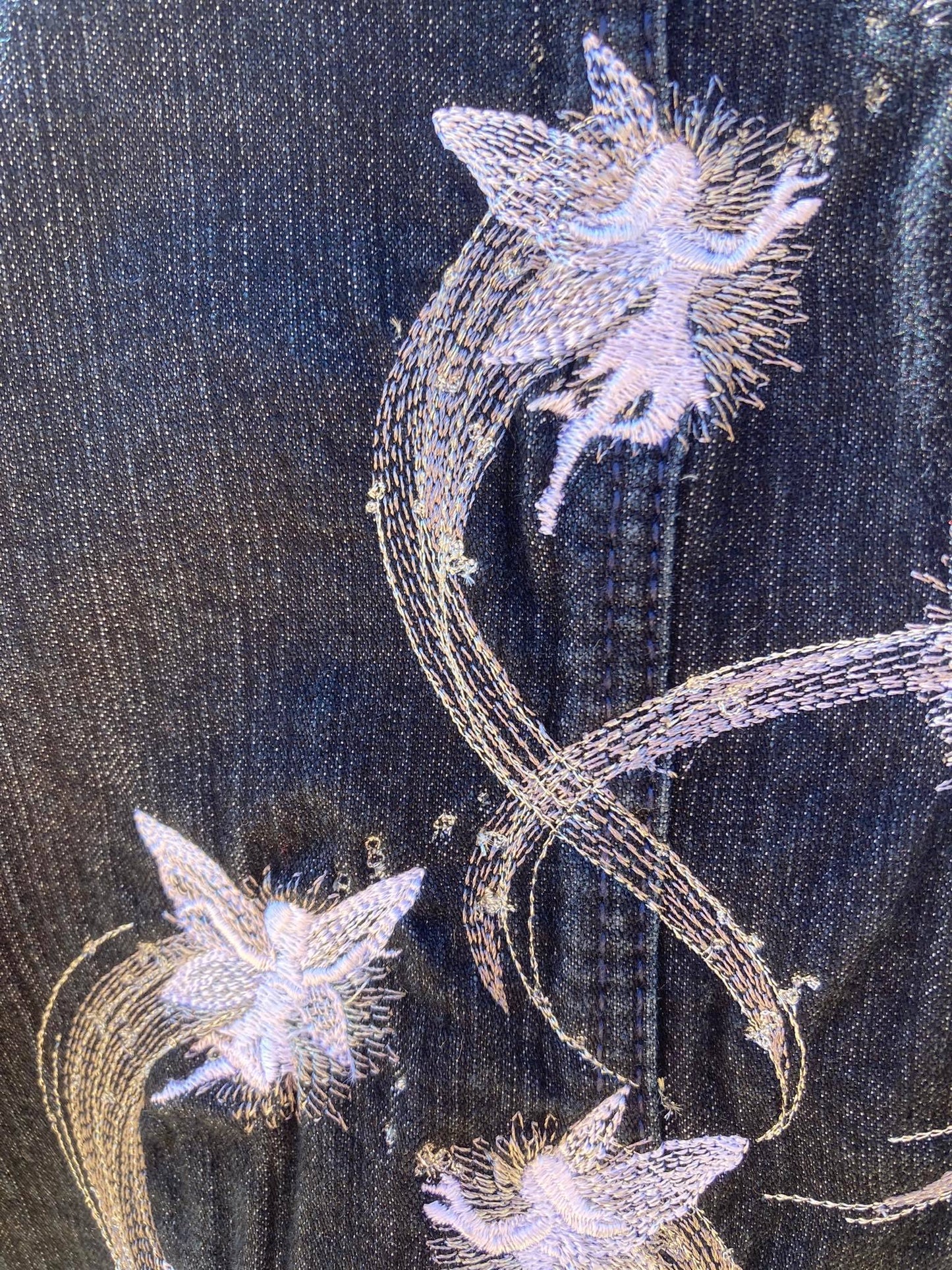 Fairies in Flight